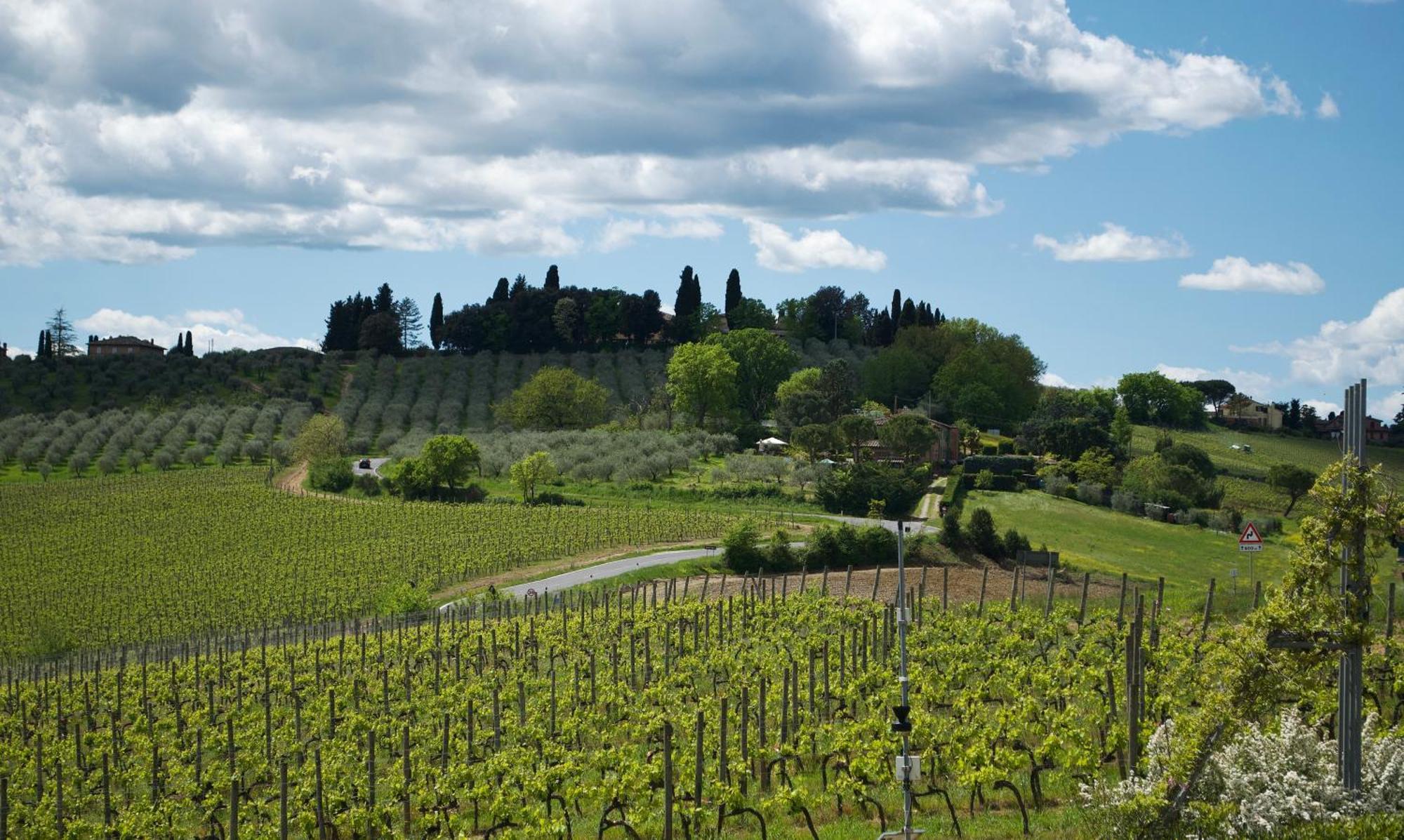 Villa Il Castagno Wine & Resort Siena Buitenkant foto